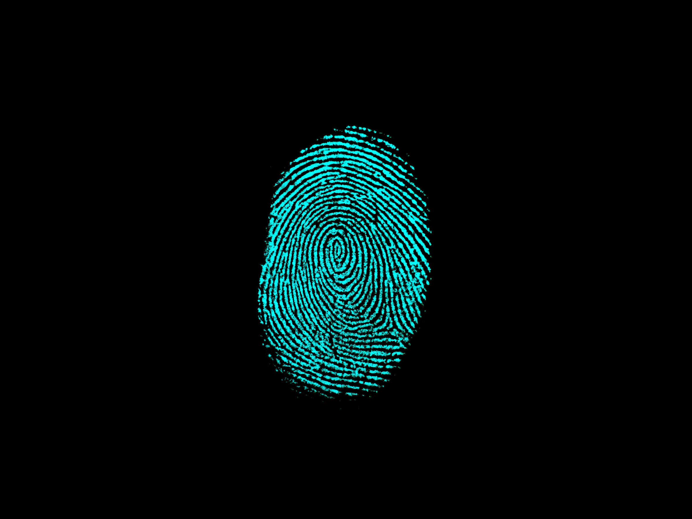 Fingerprint Xiaomi Tidak Berfungsi Begini Cara Mengatasinya